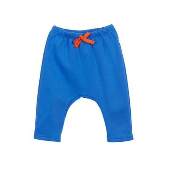 Sarouels Sweatpants in Blue Electric