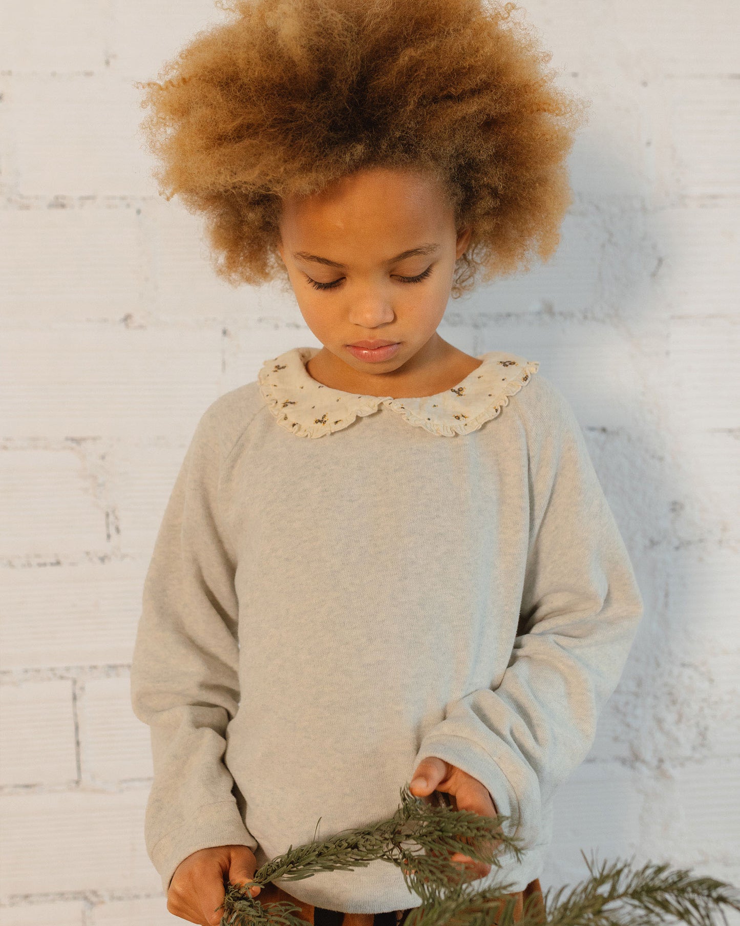 Romance Collar Sweatshirt - Toddler