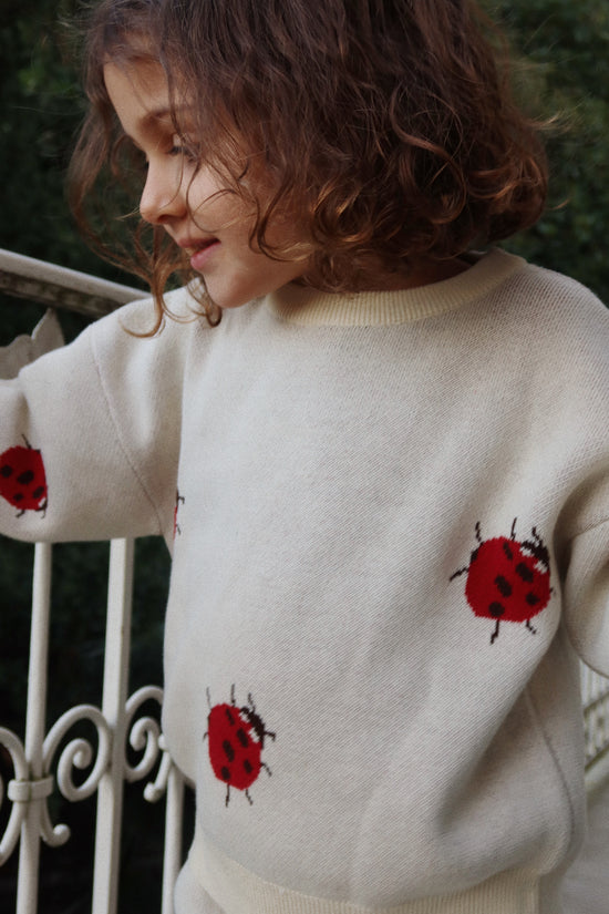 Ladybug Lapis Knit Sweater