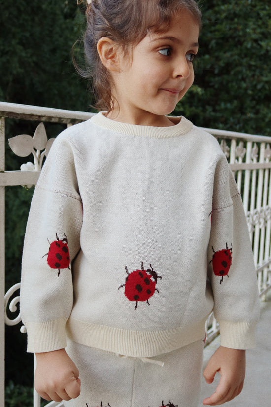 Ladybug Lapis Knit Sweater