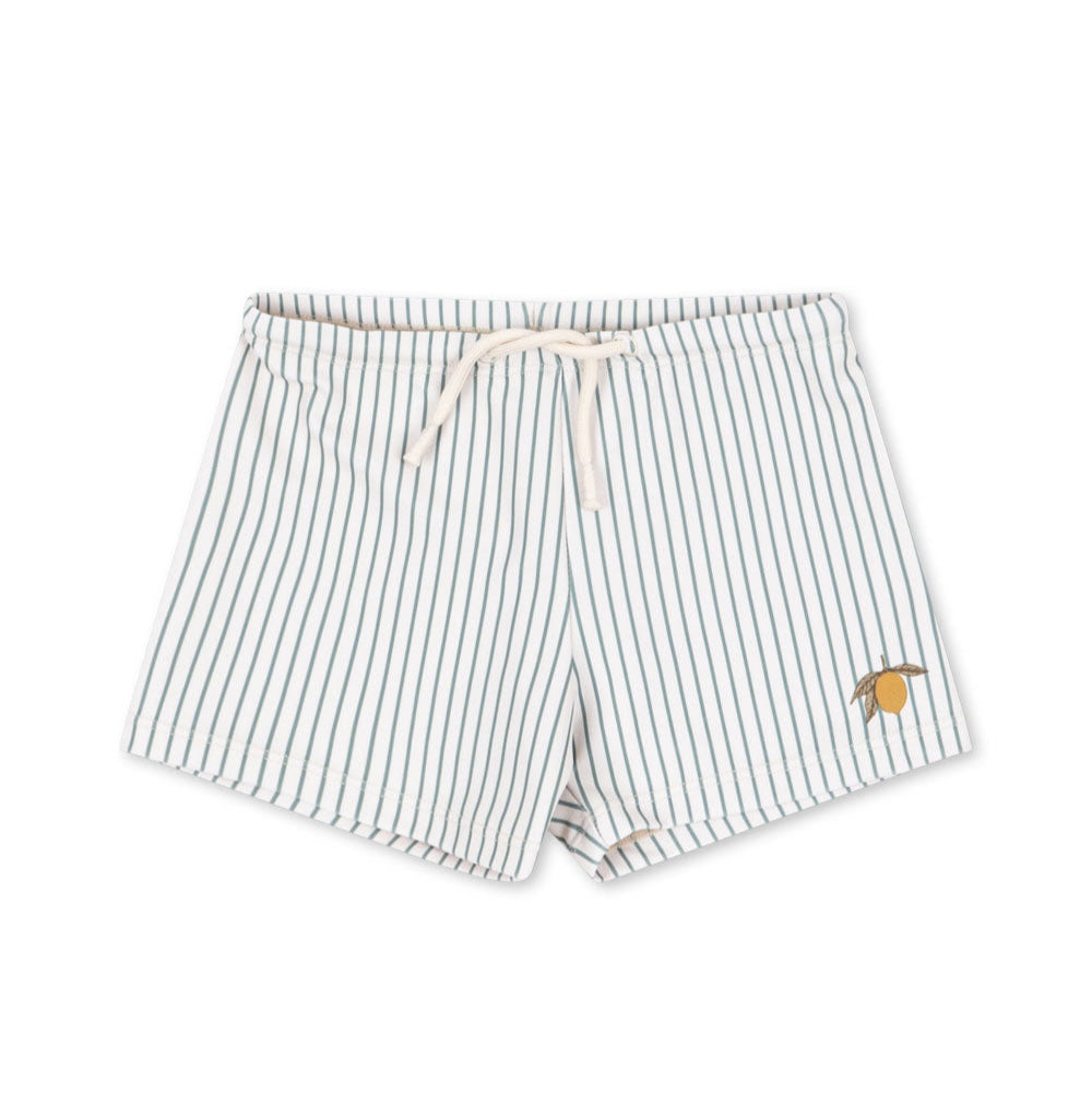 Aster Tea Stripe Swim Shorts