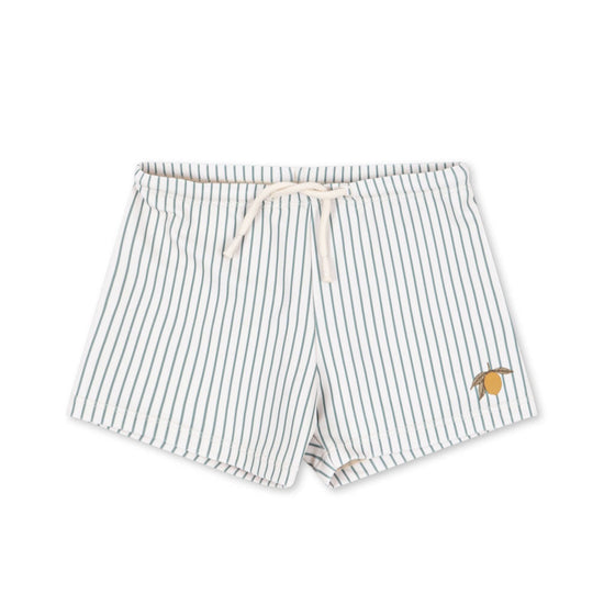 Aster Tea Stripe Swim Shorts
